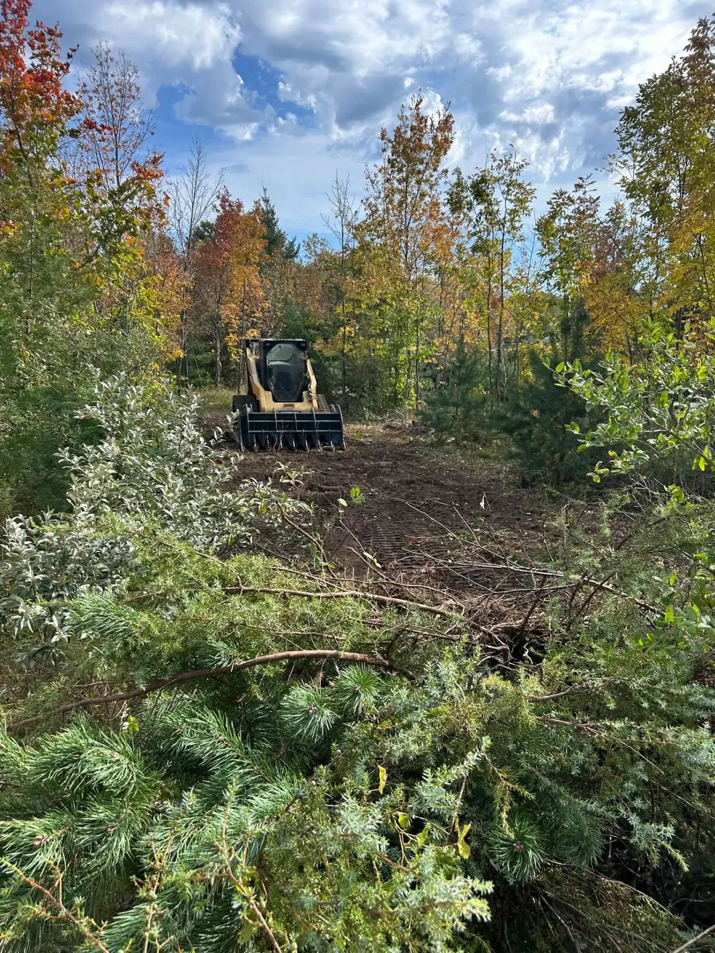 Piles of cleared brush beside a gravel drive with a skid steer working