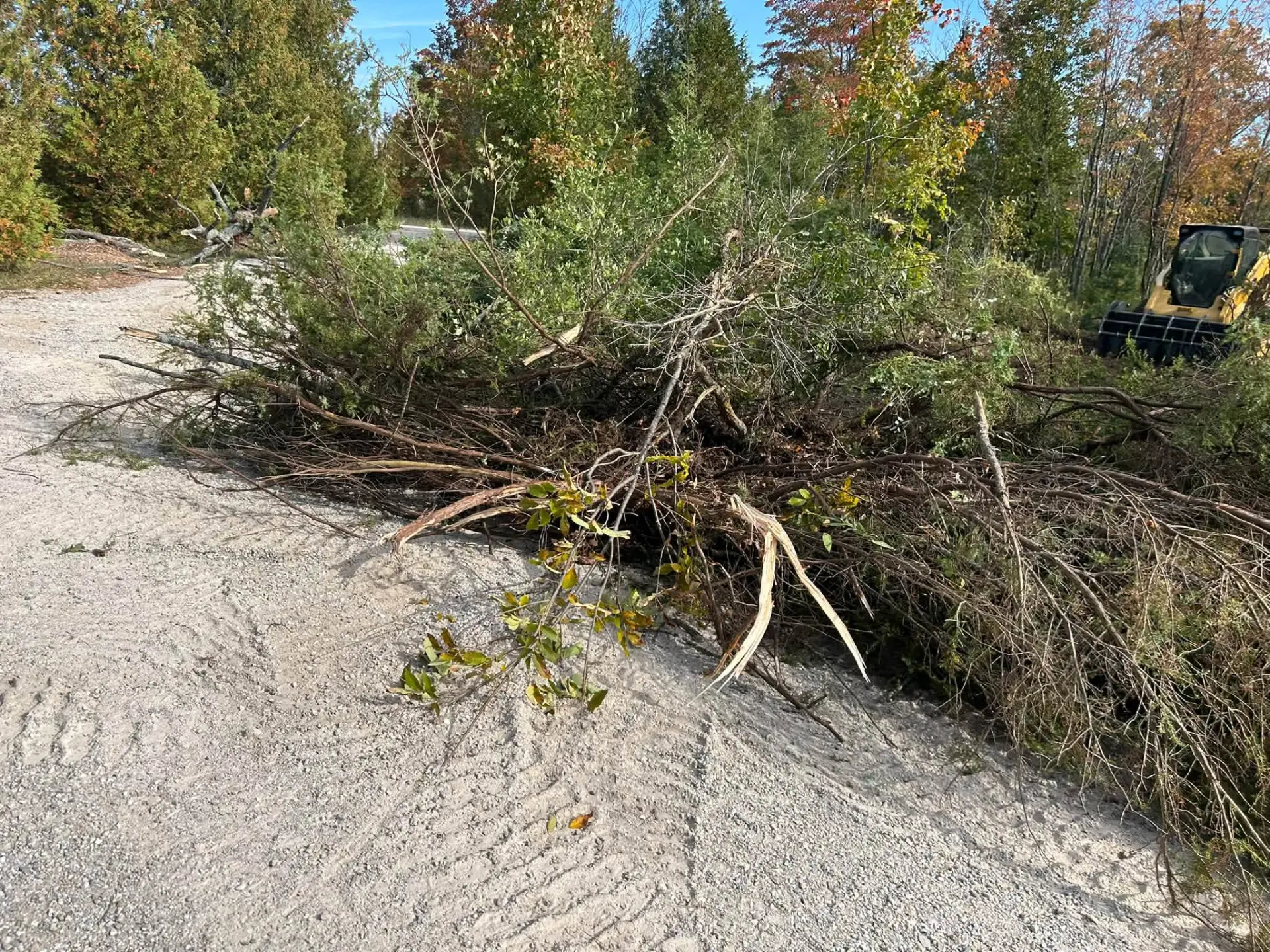 Skid steer clearing brush on a wooded Wisconsin property in fall