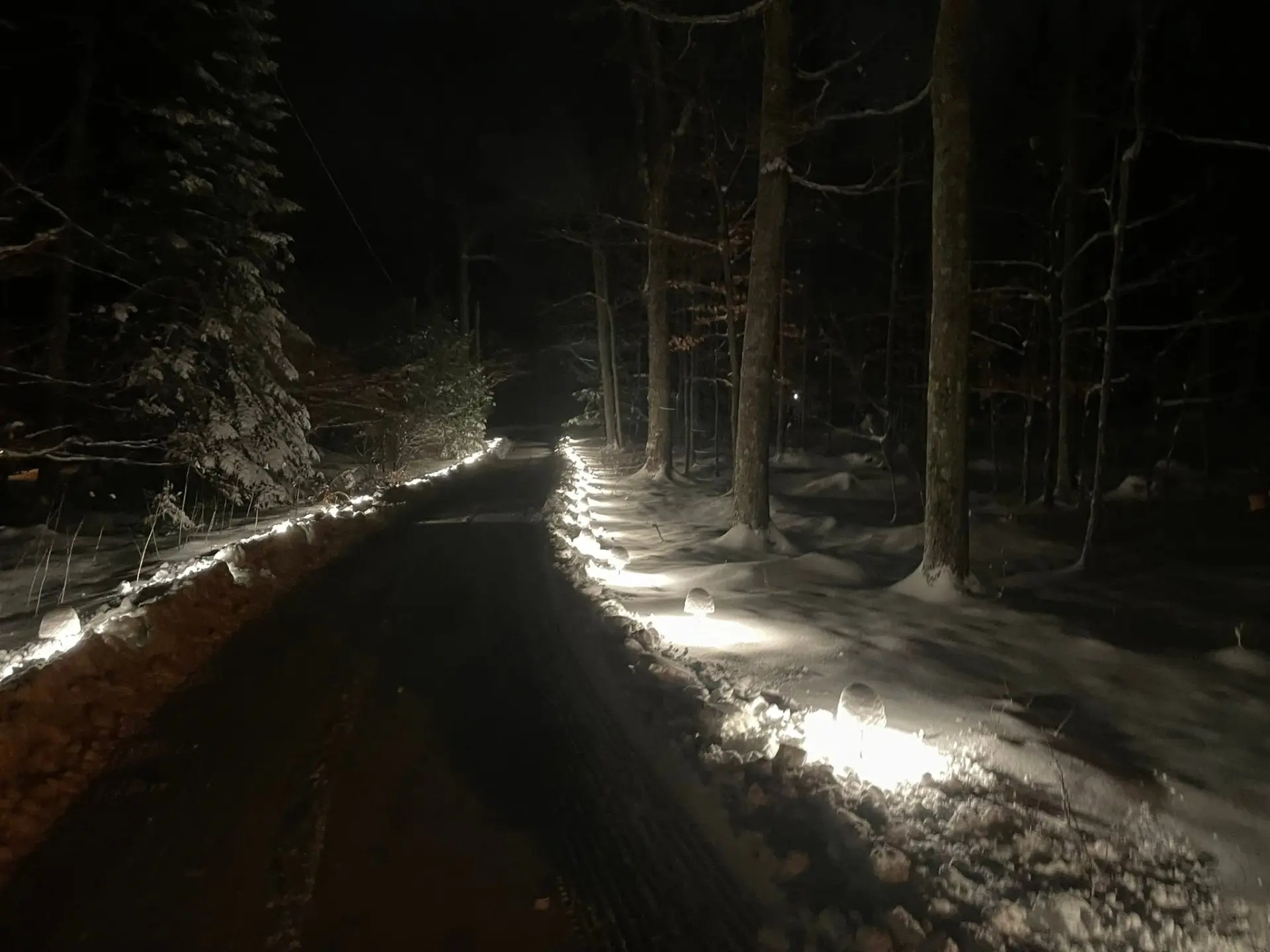 Cleared winter driveway through snowy woods at night